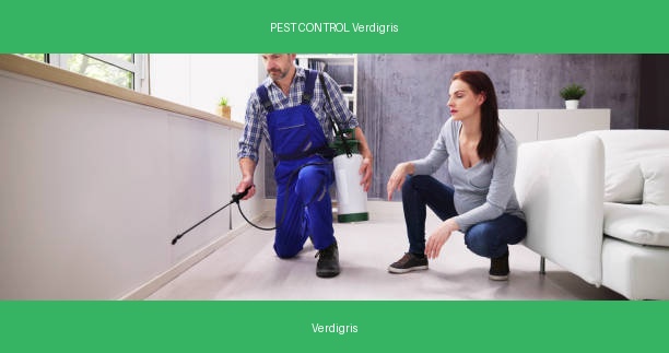 PEST CONTROL Verdigris